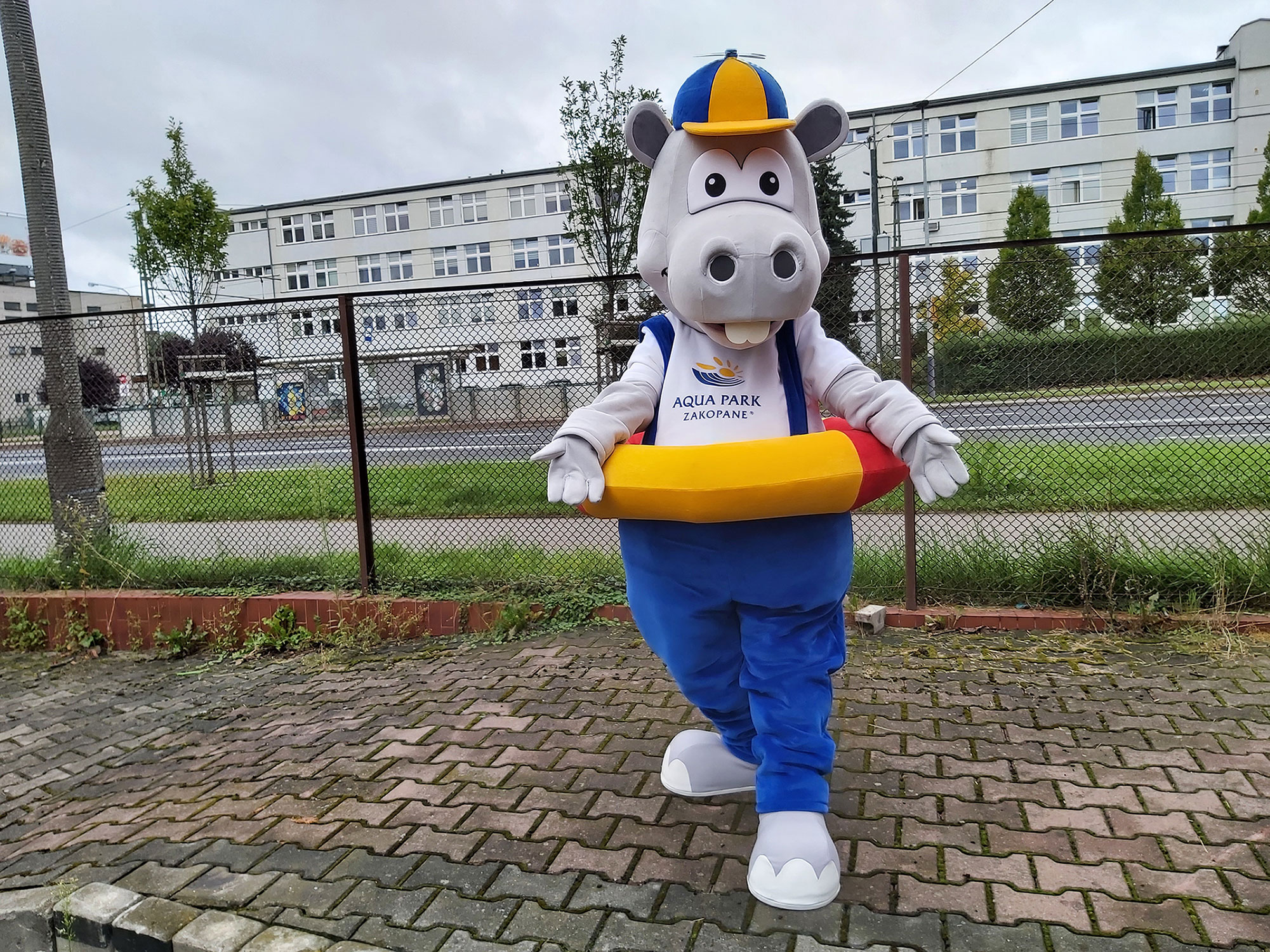 Na fotografii widnieje kostium reklamowy w postaci hipopotama pozujący do zdjęcia w siedzibie firmy Elabika